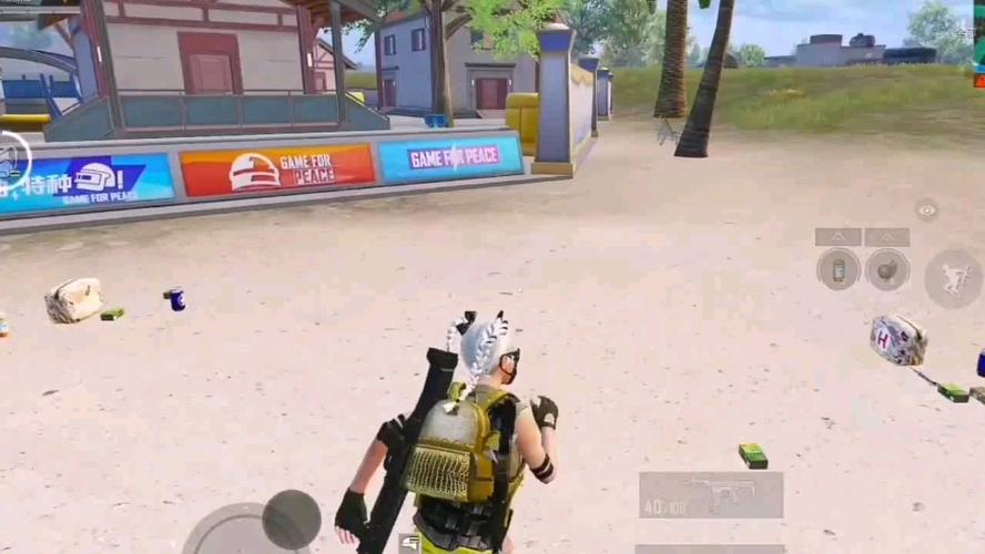 和平精英辅助【小飞侠】)